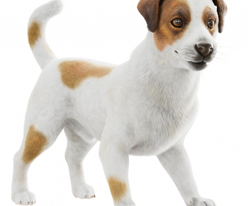 Modern Animal Dog-ID:812688117