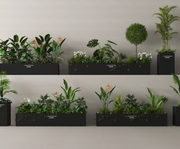 Modern Flower Bed, Flower Bowl, Flower Box-ID:119908092