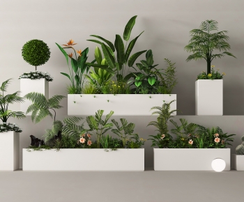 Modern Flower Bed, Flower Bowl, Flower Box-ID:673573027