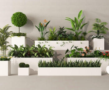 Modern Flower Bed, Flower Bowl, Flower Box-ID:802335029
