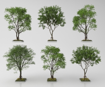 Modern Tree-ID:658431057