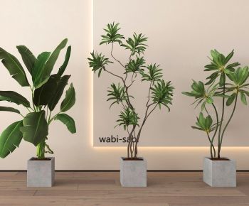 Modern Ground Green Plant Potted Plants-ID:155843024