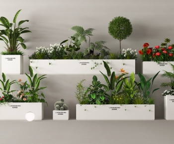 Modern Flower Bed, Flower Bowl, Flower Box-ID:926498895