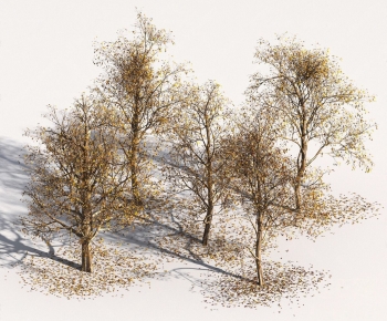 Modern Tree-ID:695456036