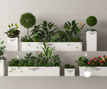 Modern Flower Bed, Flower Bowl, Flower Box-ID:494453912