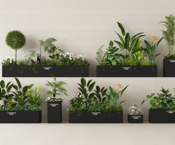 Modern Flower Bed, Flower Bowl, Flower Box-ID:598150975