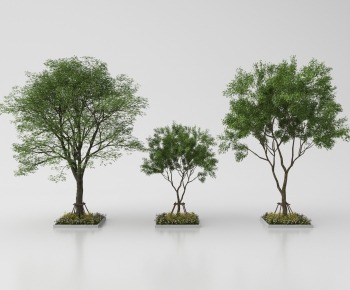 Modern Tree-ID:600979338