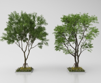 Modern Tree-ID:851299868