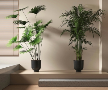 Modern Ground Green Plant Potted Plants-ID:237346894