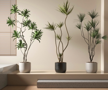Modern Ground Green Plant Potted Plants-ID:113849664