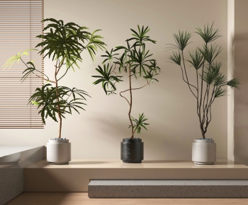 Modern Ground Green Plant Potted Plants-ID:697586068