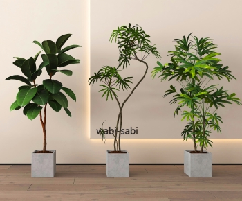 Modern Ground Green Plant Potted Plants-ID:202594046