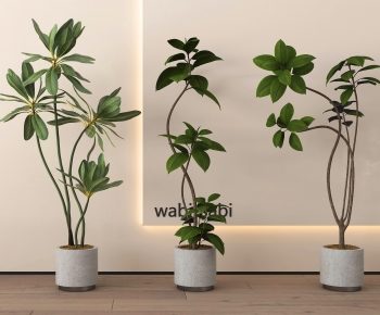 Modern Ground Green Plant Potted Plants-ID:815377001