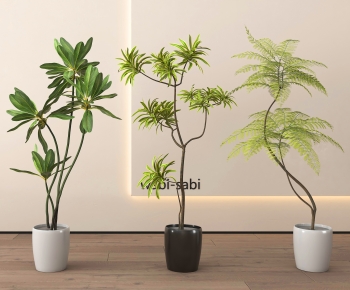 Modern Ground Green Plant Potted Plants-ID:997209073