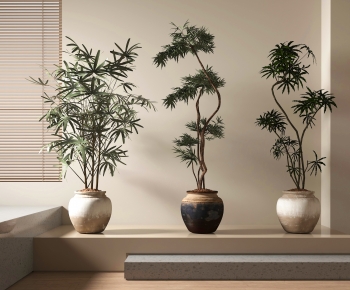 Wabi-sabi Style Ground Green Plant Potted Plants-ID:716790918