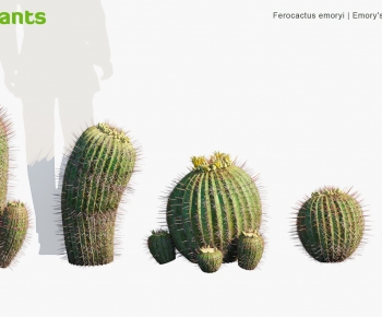 Modern Plant-ID:936991936