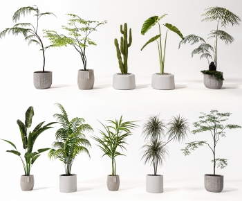 Modern Ground Green Plant Potted Plants-ID:175972945