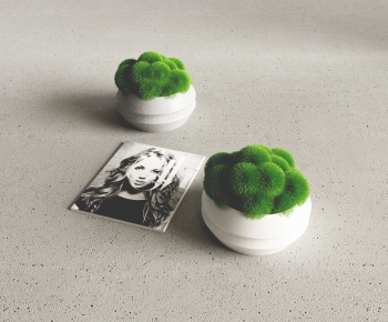 Modern Desktop Plant-ID:341792115