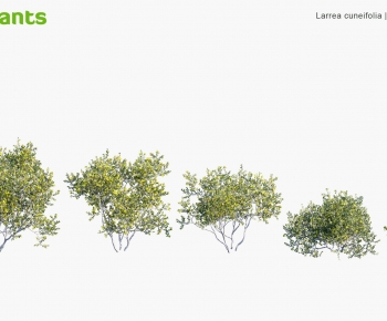 Modern Shrubbery-ID:308576112