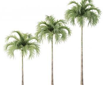 Modern Tree-ID:112524993