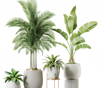 Modern Ground Green Plant Potted Plants-ID:397928004