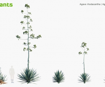 Modern Tree-ID:482347013