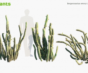 Modern Plant-ID:664179091