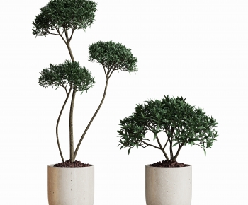 Modern Ground Green Plant Potted Plants-ID:836210973