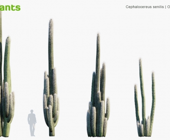 Modern Plant-ID:422990084