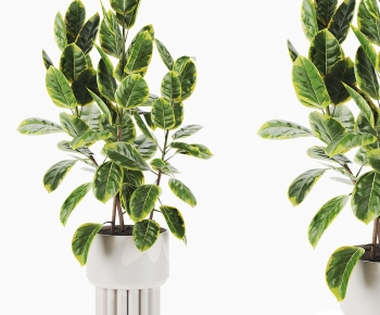 Modern Ground Green Plant Potted Plants-ID:198730951