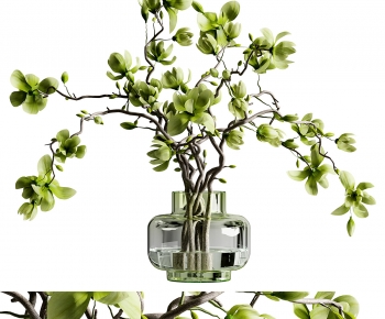 Modern Aquatic Green Plant-ID:681905032