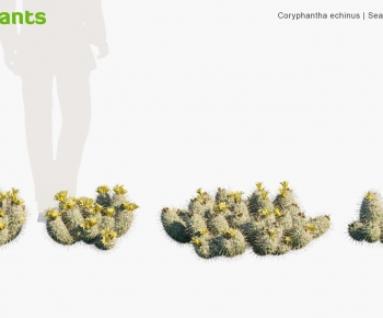 Modern Plant-ID:685813901