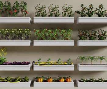 Modern Crop-ID:742233995