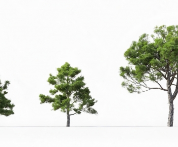 Modern Tree-ID:629010926