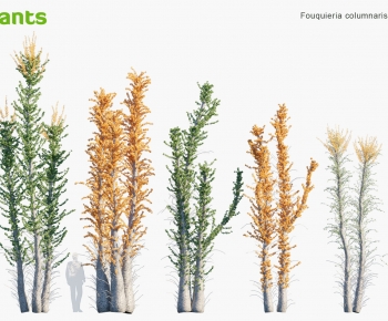 Modern Tree-ID:321903941