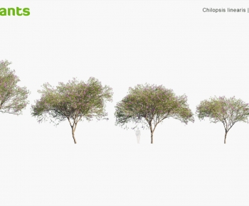 Modern Tree-ID:871277093