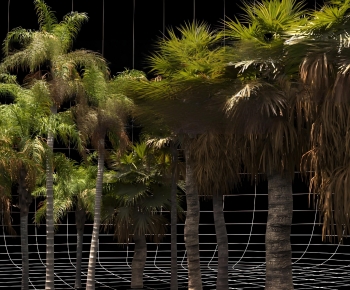 Modern Tree-ID:162942896