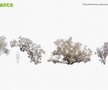 Modern Shrubbery-ID:986578947