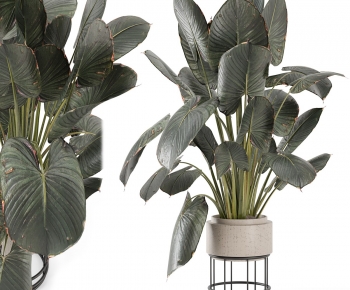 Modern Ground Green Plant Potted Plants-ID:867774015