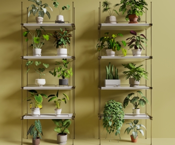 Modern Desktop Plant-ID:298424017