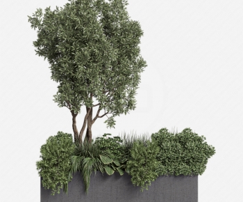 Modern Flower Bed, Flower Bowl, Flower Box-ID:386428126