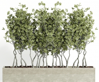 Modern Flower Bed, Flower Bowl, Flower Box-ID:426549911