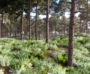 Modern Landscape-ID:800659791