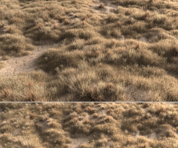 Modern Flowers And Grass-ID:808401195