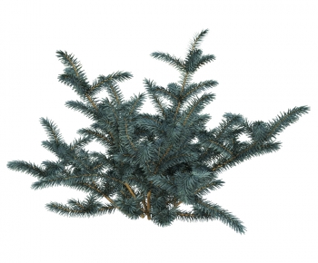 Modern Shrubbery-ID:104185107