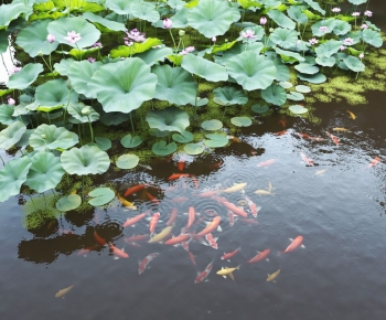 Modern Rockery Waterscape-ID:369812978