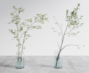 Modern Aquatic Green Plant-ID:892455101