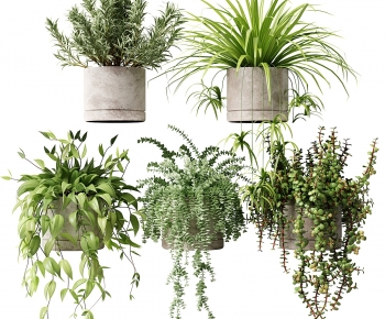 Modern Potted Green Plant-ID:989873899