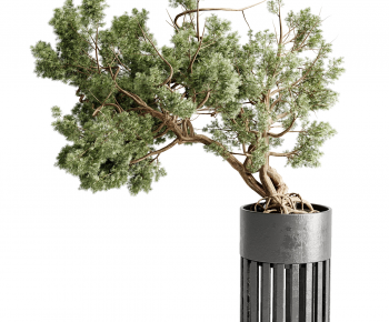 Modern Bonsai-ID:294747114