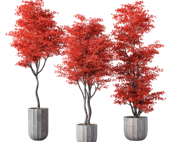 Modern Ground Green Plant Potted Plants-ID:163377059